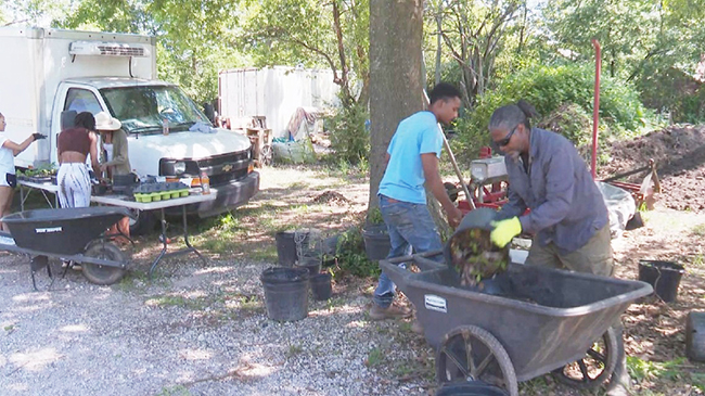US sees dwindling number of African American farmers amid racial, economic disparities.jpg US sees dwindling number of African American farmers amid racial, economic disparities.jpg