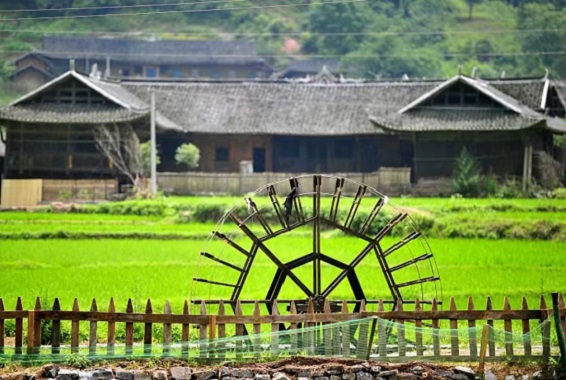 图片4.jpg