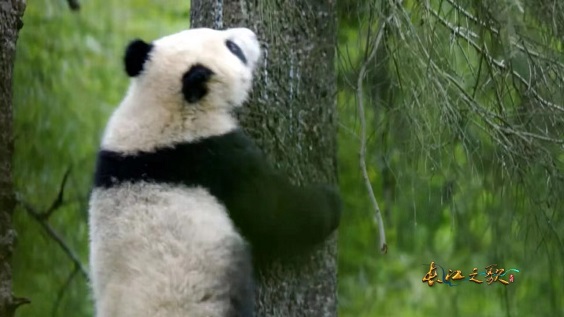 图片2.jpg