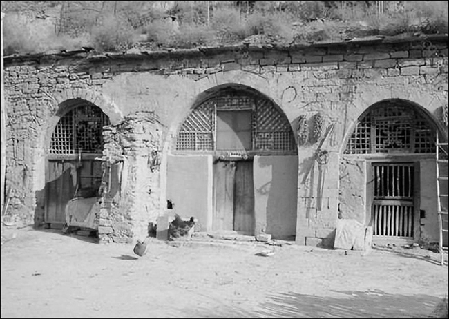 PIC6.jpg