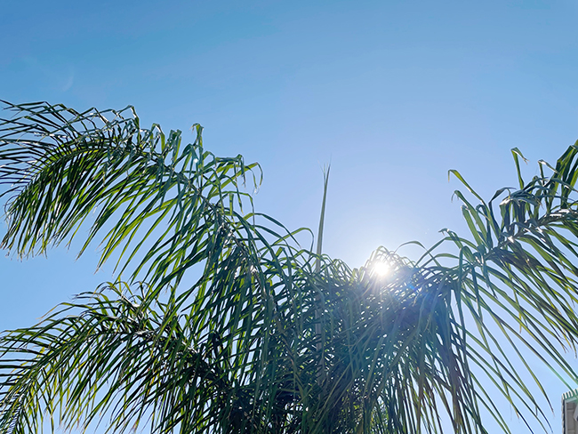 “Heat Ready CA” Will Help Californians Stay Safer From Extreme Heat.jpg