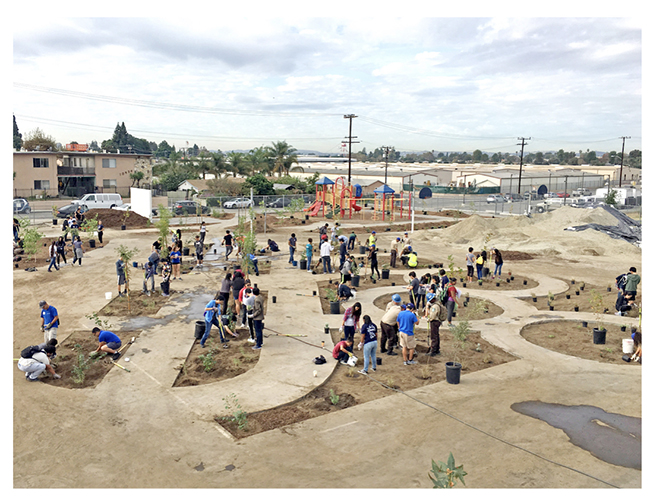 1，头条 加州学校将多种植树木，减少沥青.jpg