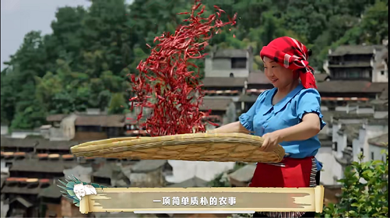 图片7.png
