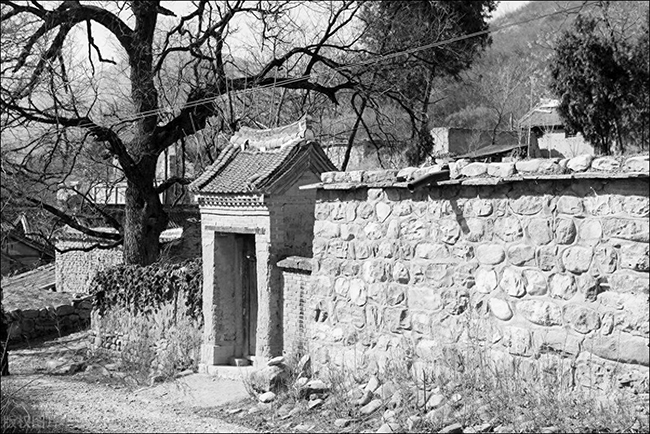 PIC1.jpg