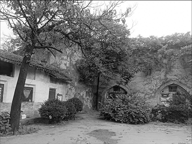 PIC3.jpg