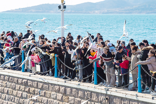 图4 - 复件(3).jpg