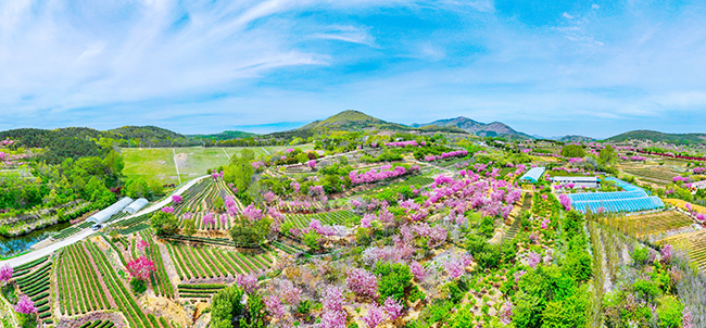 图3 - 复件(2).jpg