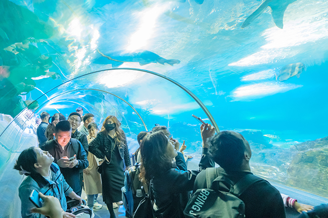 图5 - 复件(1).jpg