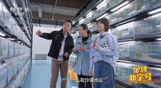 图片3.jpg