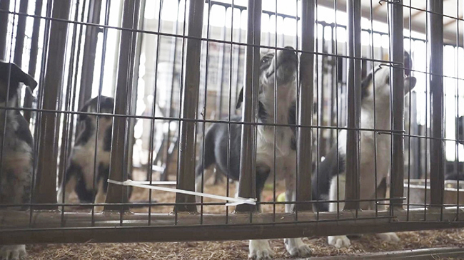 1，头条 拜登批准新墨西哥州野火灾难援助.jpg