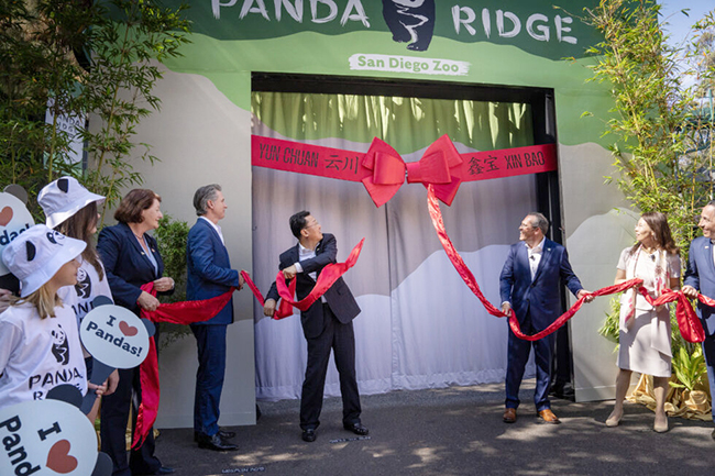 Governor and First Partner welcome new giant panda pair at San Diego Zoo.jpg