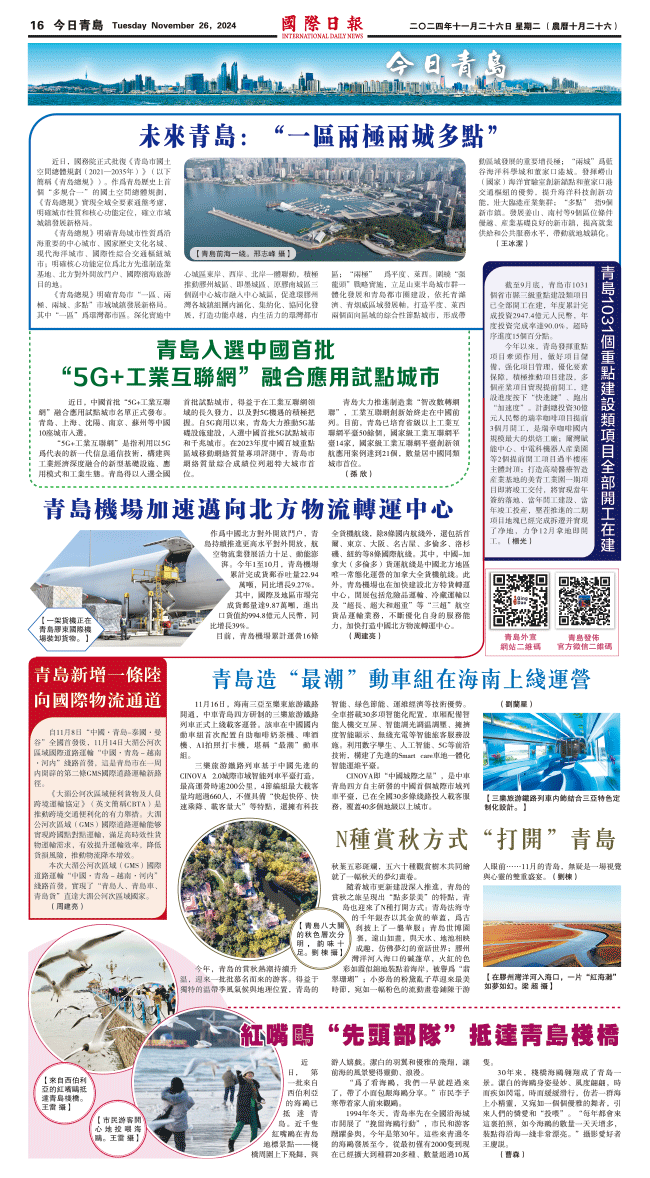 241126A16.gif