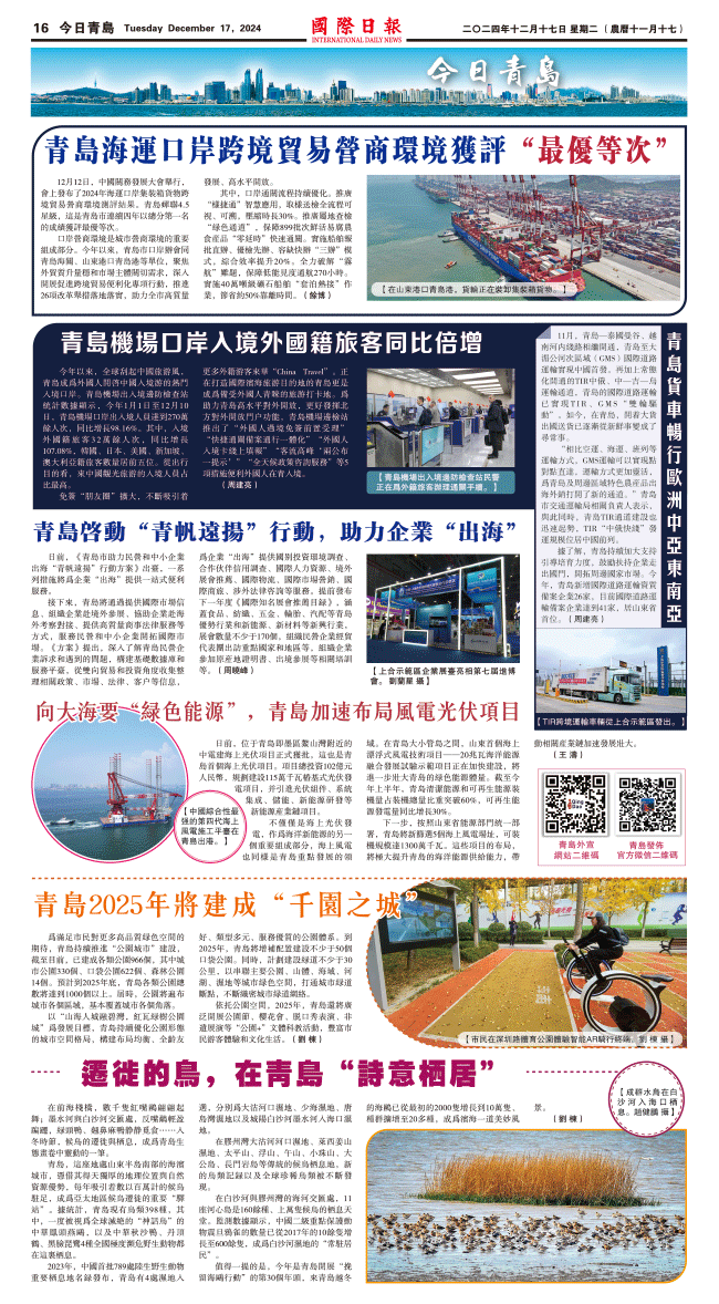 241217A16.gif