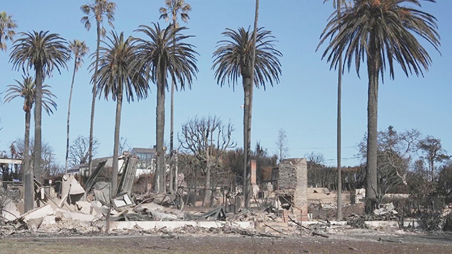 1，头条 加州将立法为受灾房主提供利息.jpg