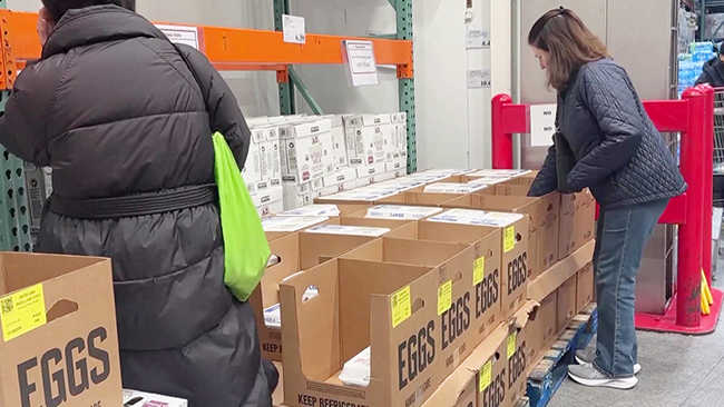 1，头条 鸡蛋价格飙升，土耳其鸡蛋进口量创纪录.jpg