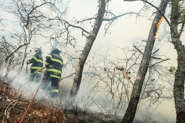 2，美媒：林火蔓延，纽约州进入紧急状态.jpg