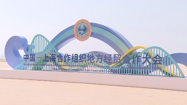 SCO economic cooperation conference opens in.jpg