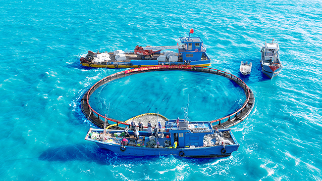 1.Aquaculture platforms off the coast of Shantou, Guangdong.jpg