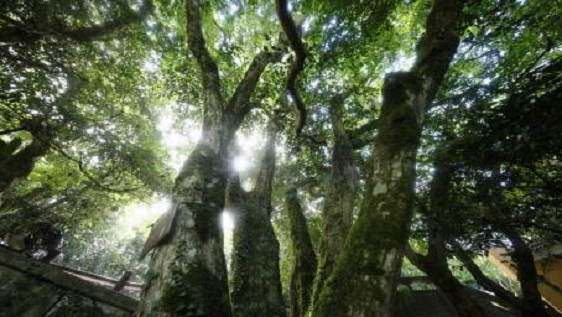 图片3.png 图片3.png