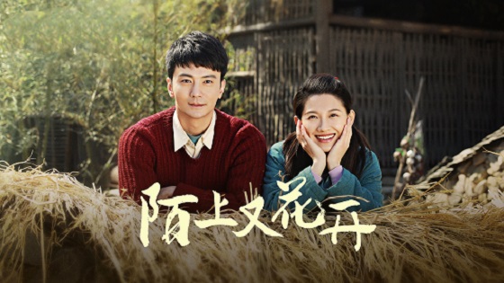 图片1.jpg 图片1.jpg