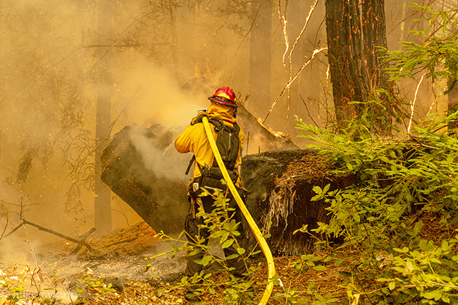 California is better prepared for catastrophic wildfire.jpg