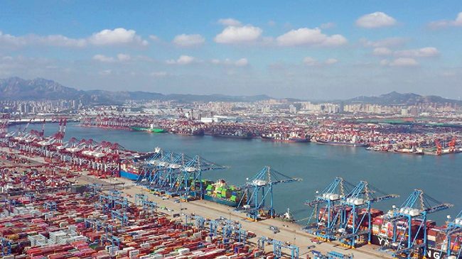 2,青岛进口上合组织国家农产品激增.jpg 2,青岛进口上合组织国家农产品激增.jpg