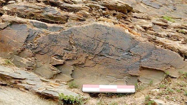 China confirms authenticity of Qin Dynasty engraved stone.jpg