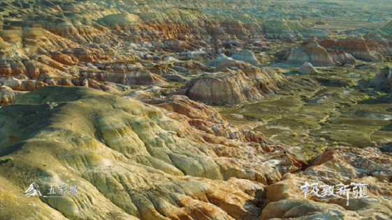 图片3.png 图片3.png