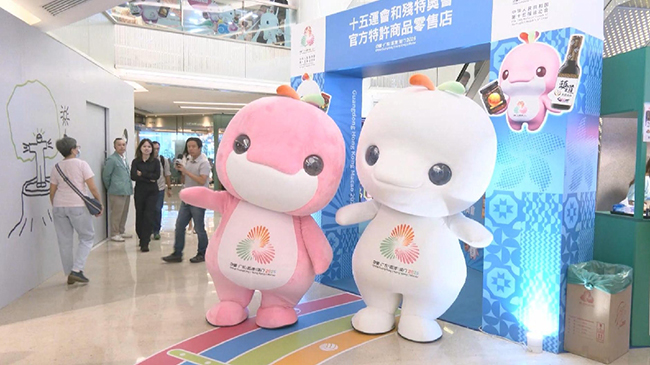 National Games mascots win hearts in Hong Kong with dolphin-inspired design.jpg National Games mascots win hearts in Hong Kong with dolphin-inspired design.jpg