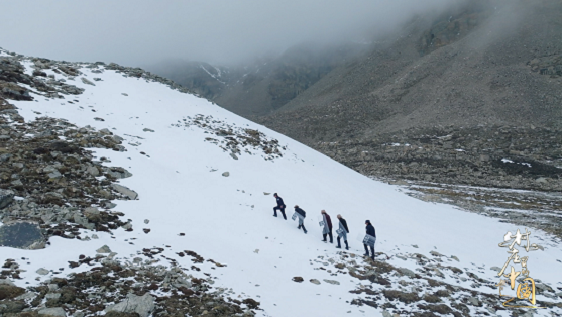 图片3.png 图片3.png