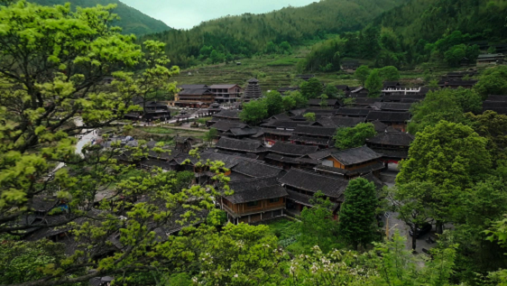 图片1.png 图片1.png