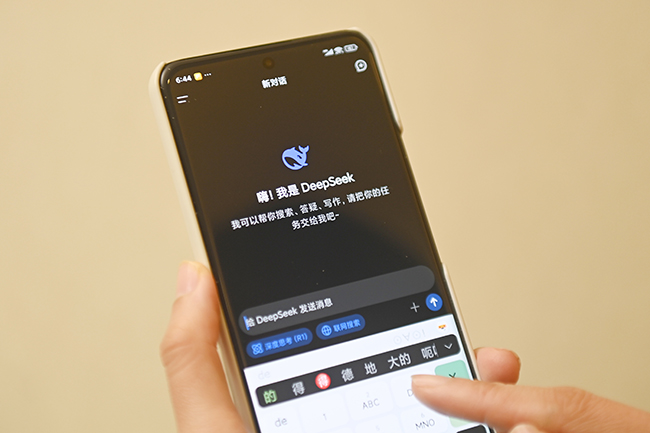 4.DeepSeek AI Large Language Model（LLM）.JPG