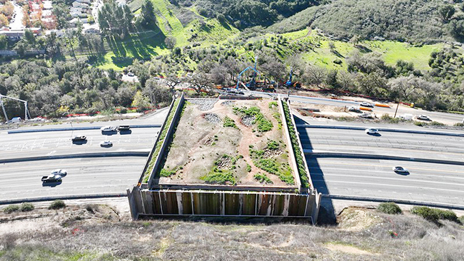 1，头条 全球最大野生动物通道完工在即，加州迈出关键一步.jpg