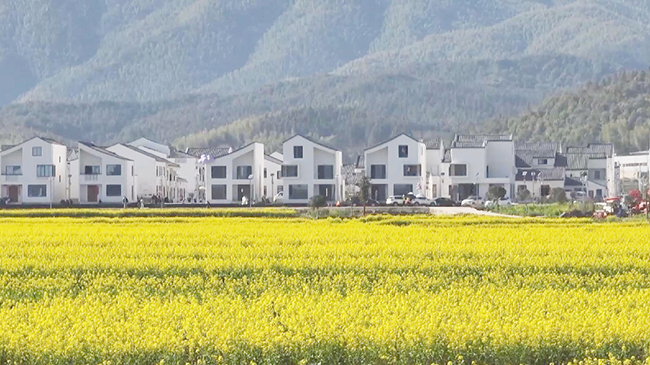 2，中国春季“花经济”催生消费新模式.jpg