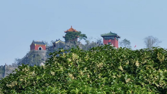 图片1.jpg