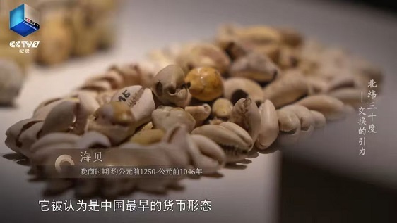 图片9.jpg