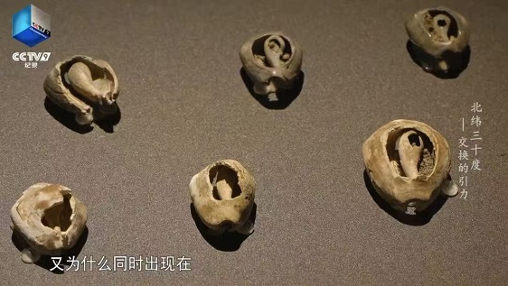 图片10.jpg