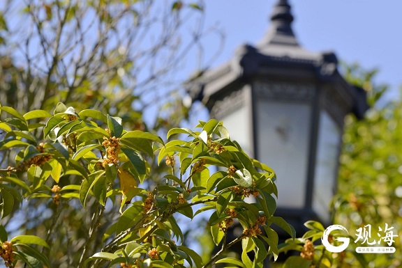 3.jpeg